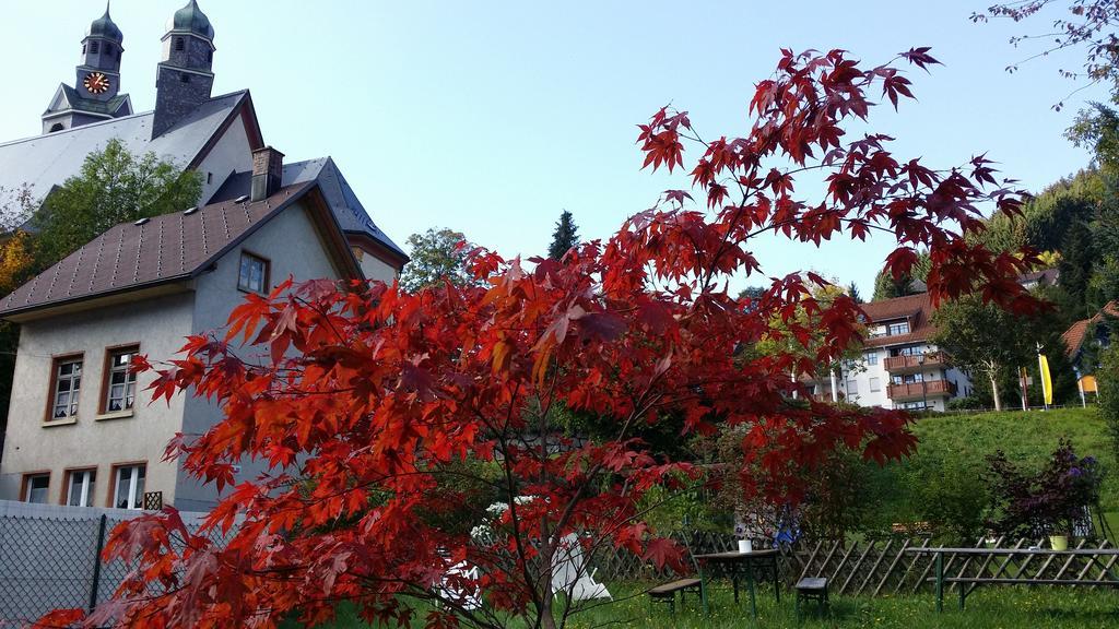 Europaeisches Gaeste- Und Seminarhaus Todtmoos Esterno foto