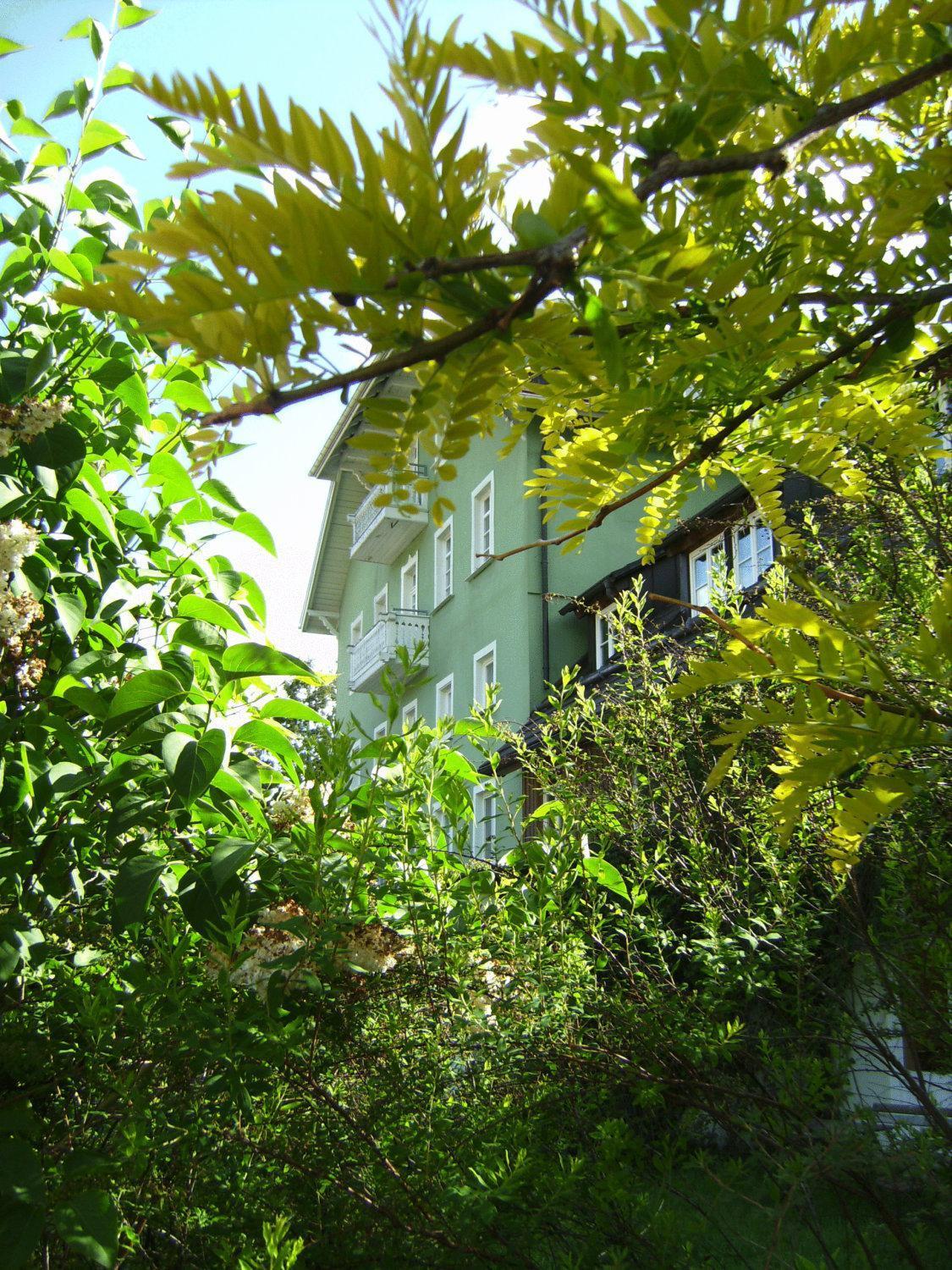 Hotel Europaeisches Gaeste- Und Seminarhaus Todtmoos Esterno foto