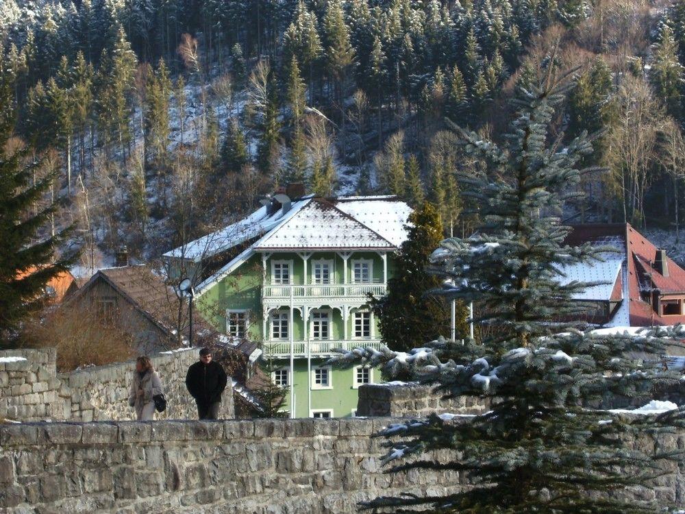 Hotel Europaeisches Gaeste- Und Seminarhaus Todtmoos Esterno foto