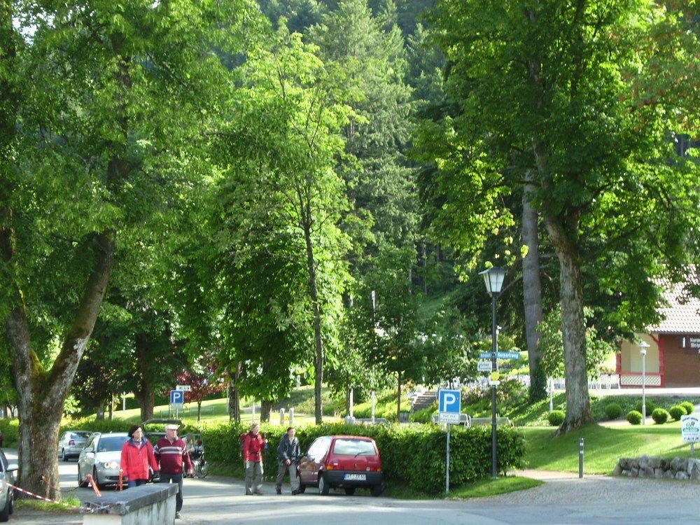 Hotel Europaeisches Gaeste- Und Seminarhaus Todtmoos Esterno foto